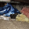A crawl space filled with loose insulation, debris, and a large tarp in .