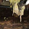 Fiberglass insulation dripping off a pipe in Middleburg.