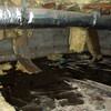 Fiberglass insulation dripping off a floor joist in a soaked crawl space with a think black liner in Tallahassee.
