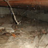 A crawl space with spiderwebs, mold, and uneven floors in Ormond Beach.
