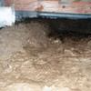 A muddy, disgusting crawl space with little or no head room in Gretna.