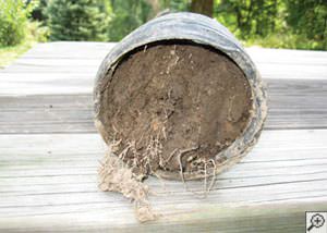 clogged french drain found in Middleburg, Florida
